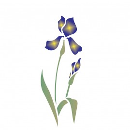 10×30 Simples – Iris – OPA1725